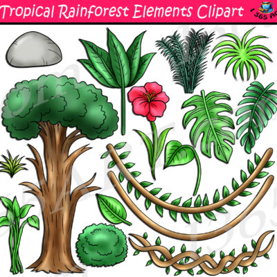 Rainforest Elements Clipart