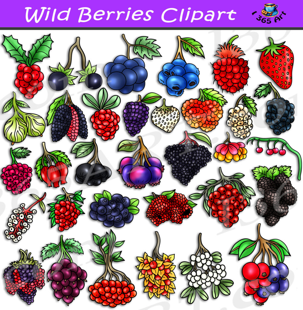 Wild Berries Clipart Set Download Clipart 4 School
