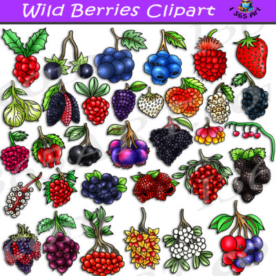 Wild Berries Clipart
