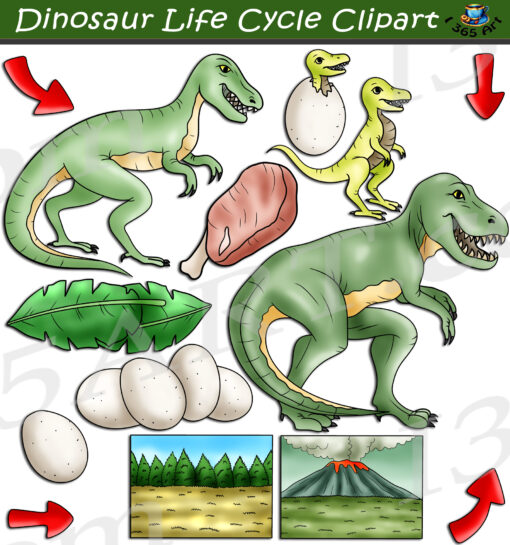 Dinosaur Life Cycle Clipart