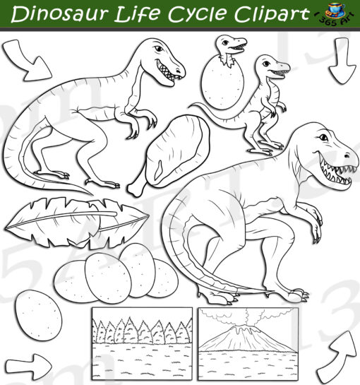 Dinosaur Life Cycle Clipart