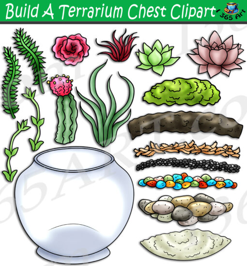 Build A Terrarium