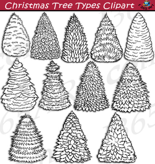 Christmas Tree Types Clipart