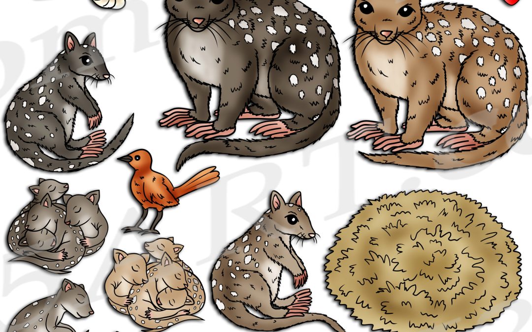 Eastern Quoll Life Cycle Clipart Set Download