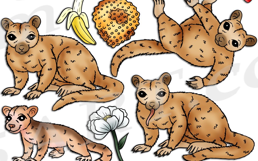 Kinkajou Life Cycle Clipart Set Download