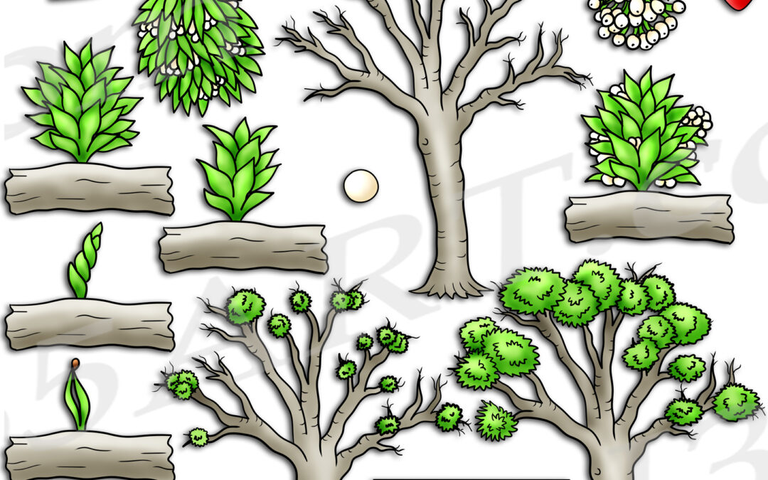 Mistletoe Life Cycle Clipart Set Download