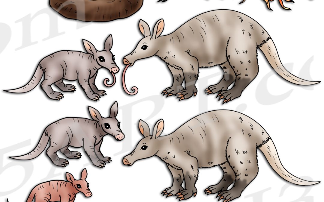 Aardvark Life Cycle Clipart Set Download
