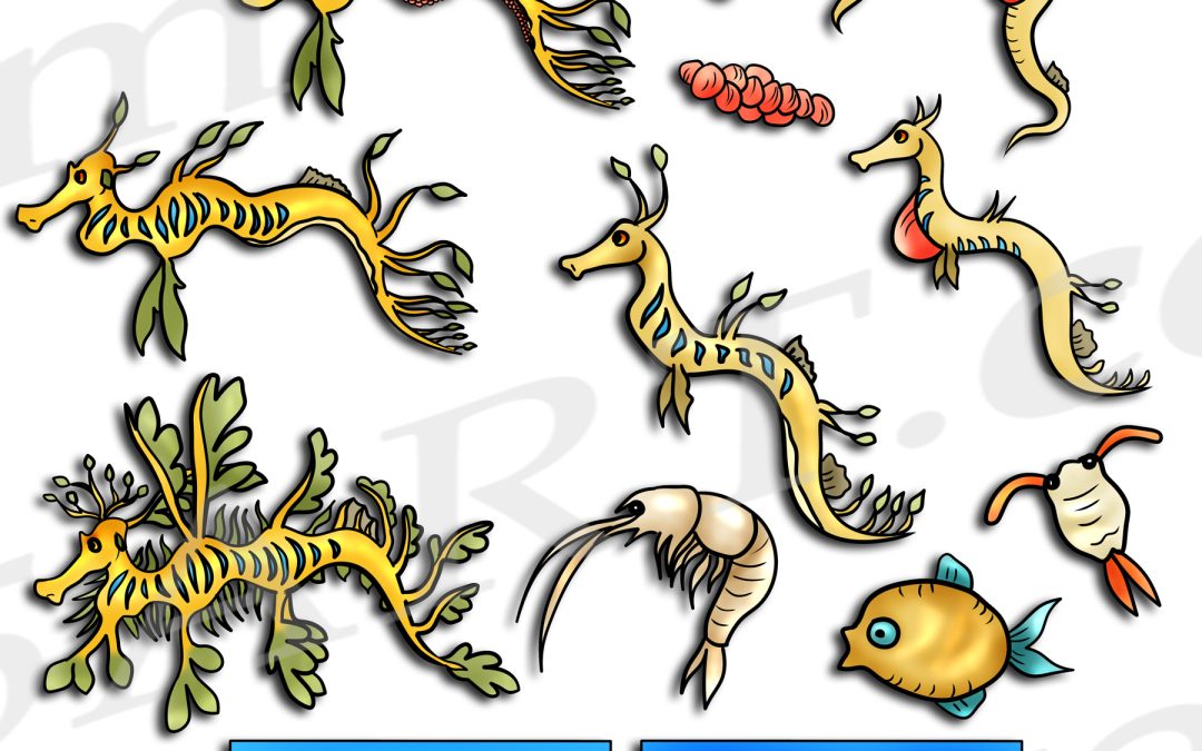 Weedy Sea Dragon Life Cycle Clipart Set Download