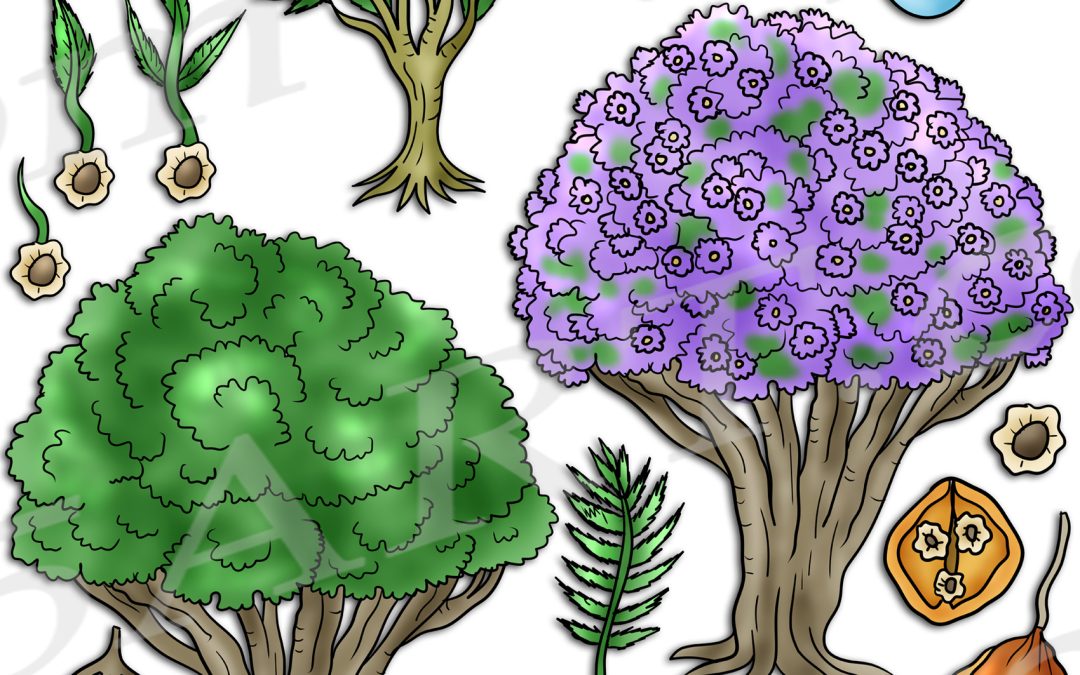 Jacaranda Tree Life Cycle Clipart Set Download
