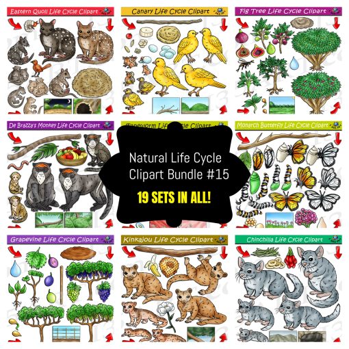 Life Cycle Clipart Mega Bundle #15