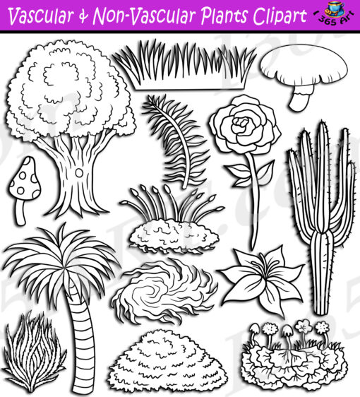 Vascular & Non-Vascular Plants Clipart