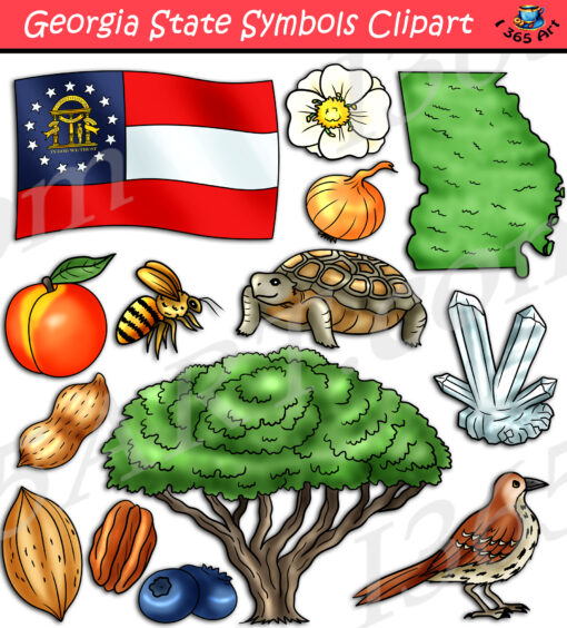 Georgia State Symbols Clipart