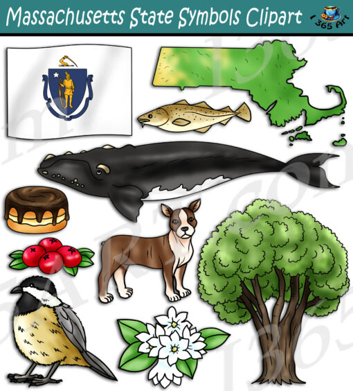 Massachusetts State Symbols Clipart