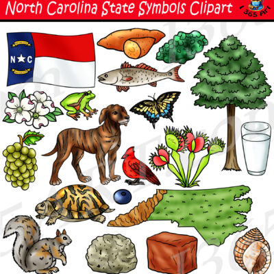 North Carolina State Symbols Clipart