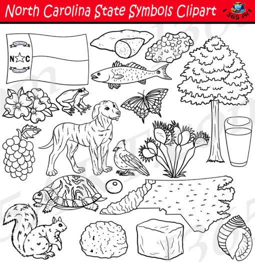 North Carolina State Symbols Clipart