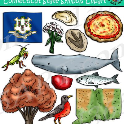 Connecticut State Symbols Clipart