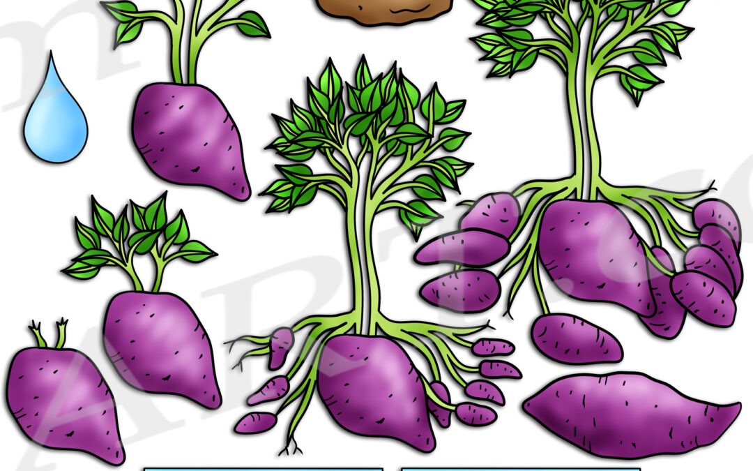 Purple Yam Ube Clipart Set Download