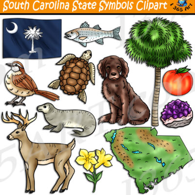 South Carolina State Symbols Clipart