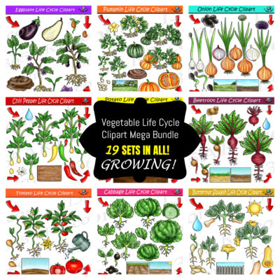 Vegetable Life Cycle Clipart Mega Bundle