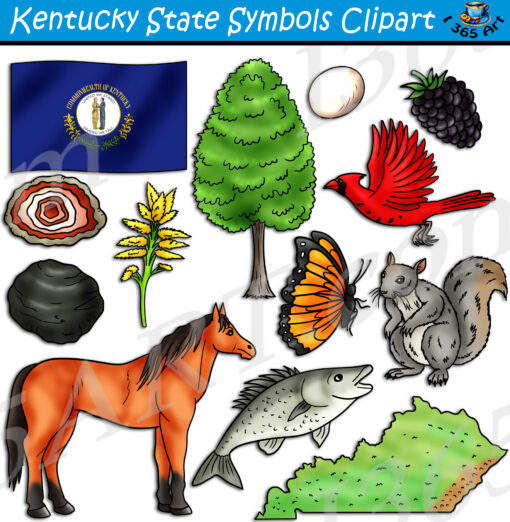 Kentucky State Symbols Clipart