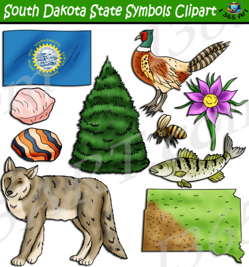 South Dakota State Symbols Clipart Download