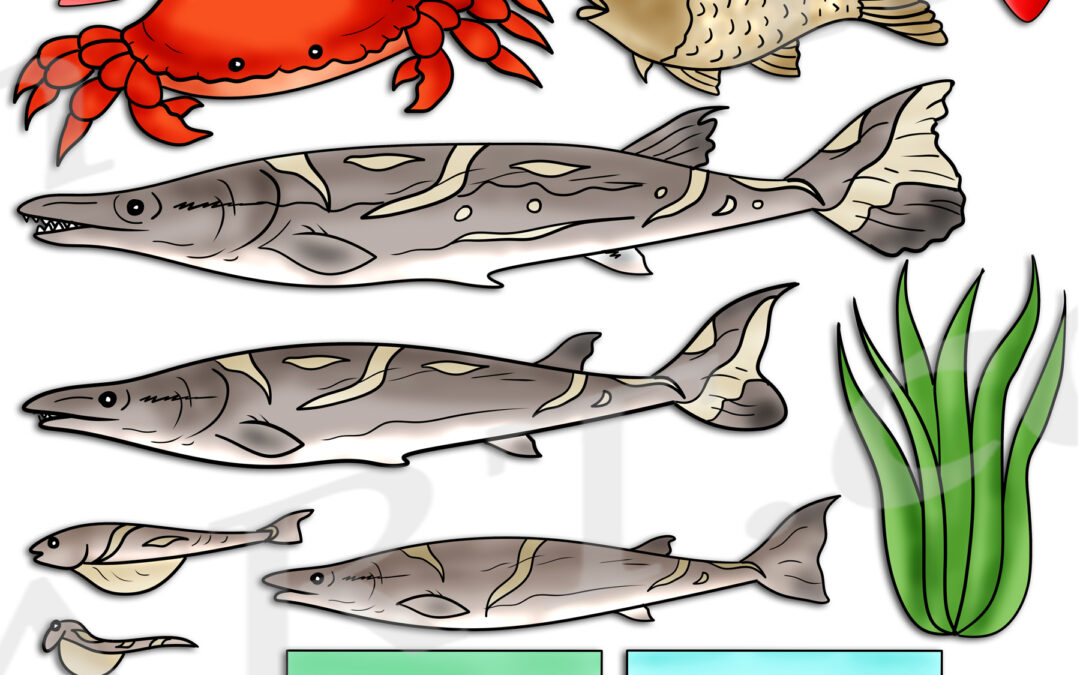 Alligator Gar Life Cycle Clipart Set Download