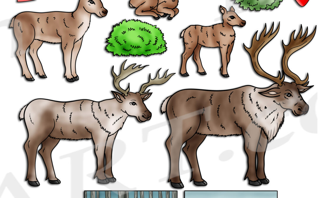 Reindeer Life Cycle Clipart Set Download