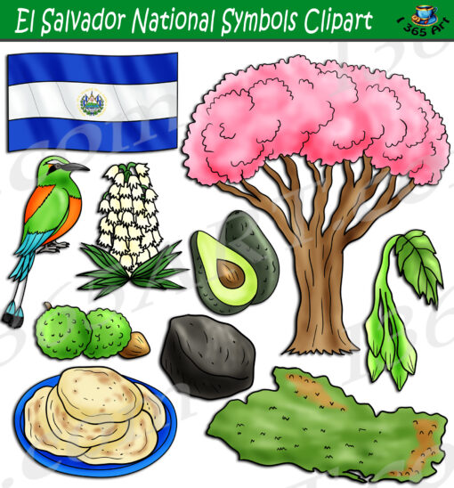 El Salvador National Symbols Clipart