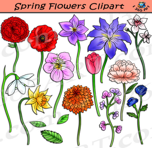 Spring Flowers Clipart