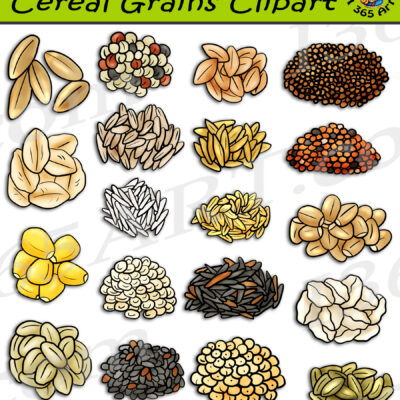 Grain Plants Clipart