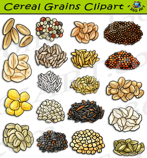 Grain Plants Clipart