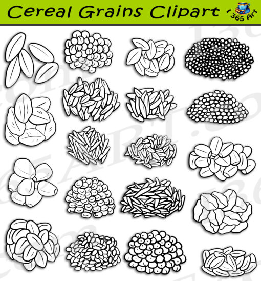 Grain Plants Clipart