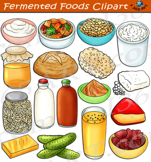 Fermented Foods Clipart