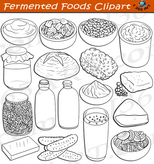 Fermented Foods Clipart