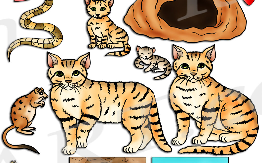 Sand Cat Life Cycle Clipart Set Download