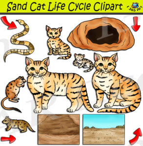 Sand Cat Life Cycle Clipart