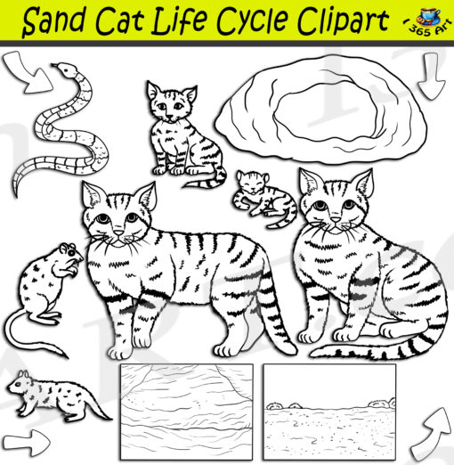 Sand Cat Life Cycle Clipart