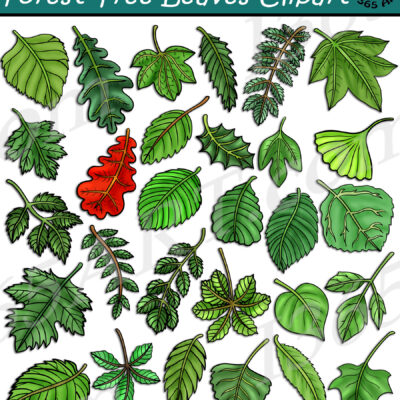 Forest Tree Leaves Clipart
