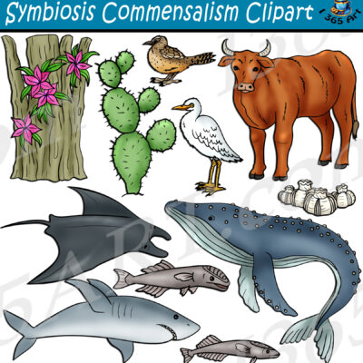 Symbiosis Commensalism Clipart