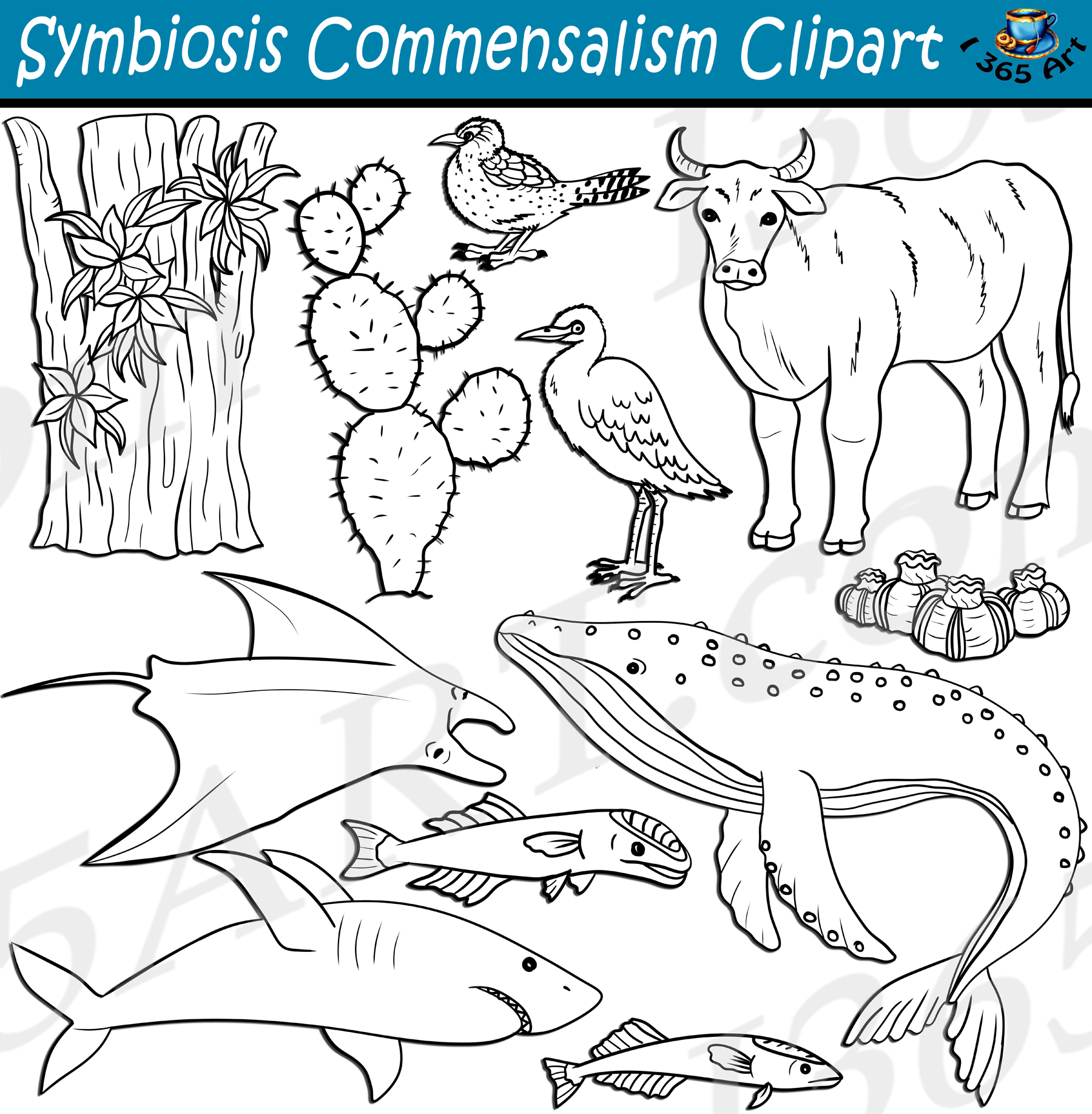Symbiosis Commensalism Clipart Set Download - Image 2