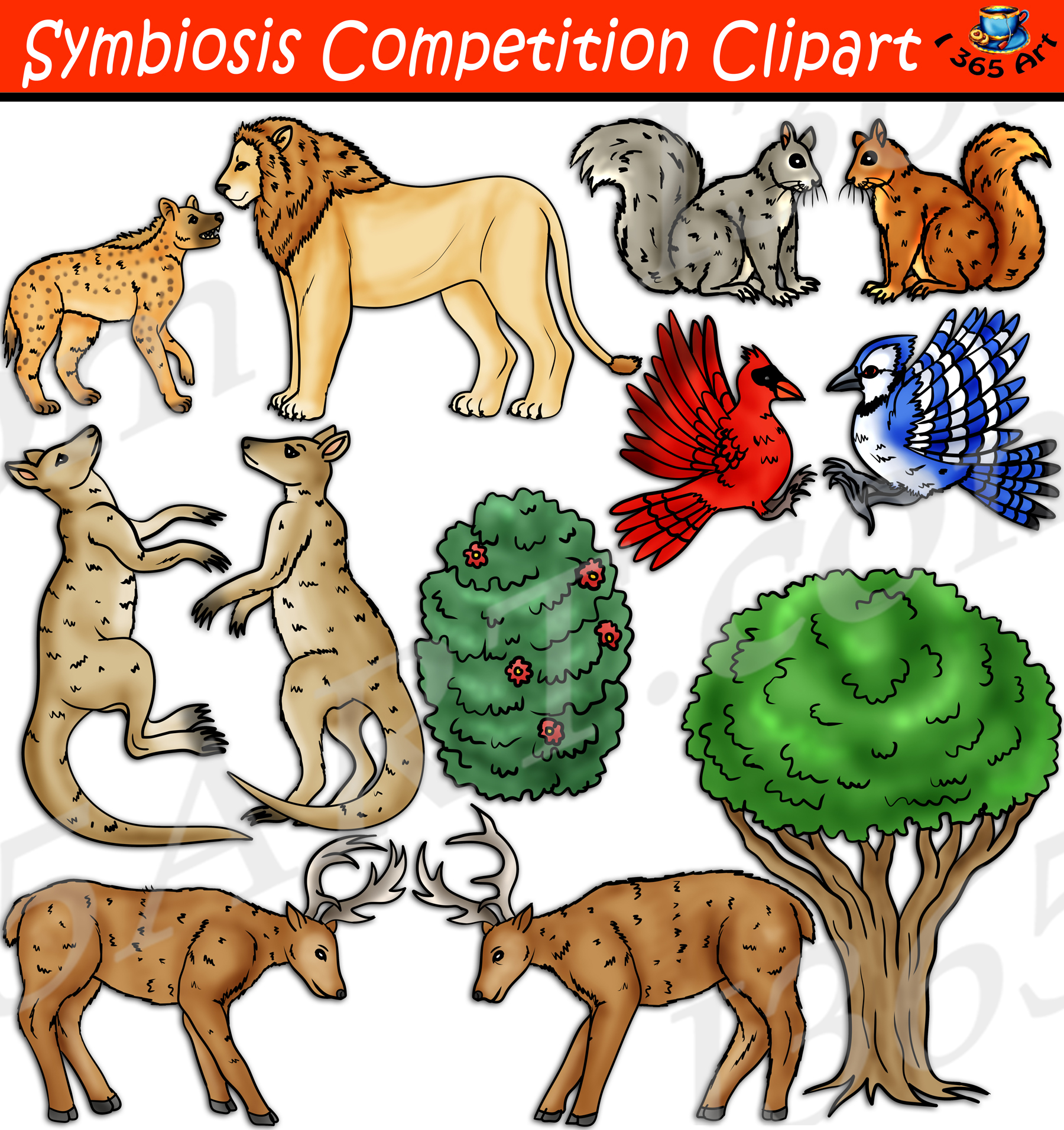 Symbiosis Competition Clipart