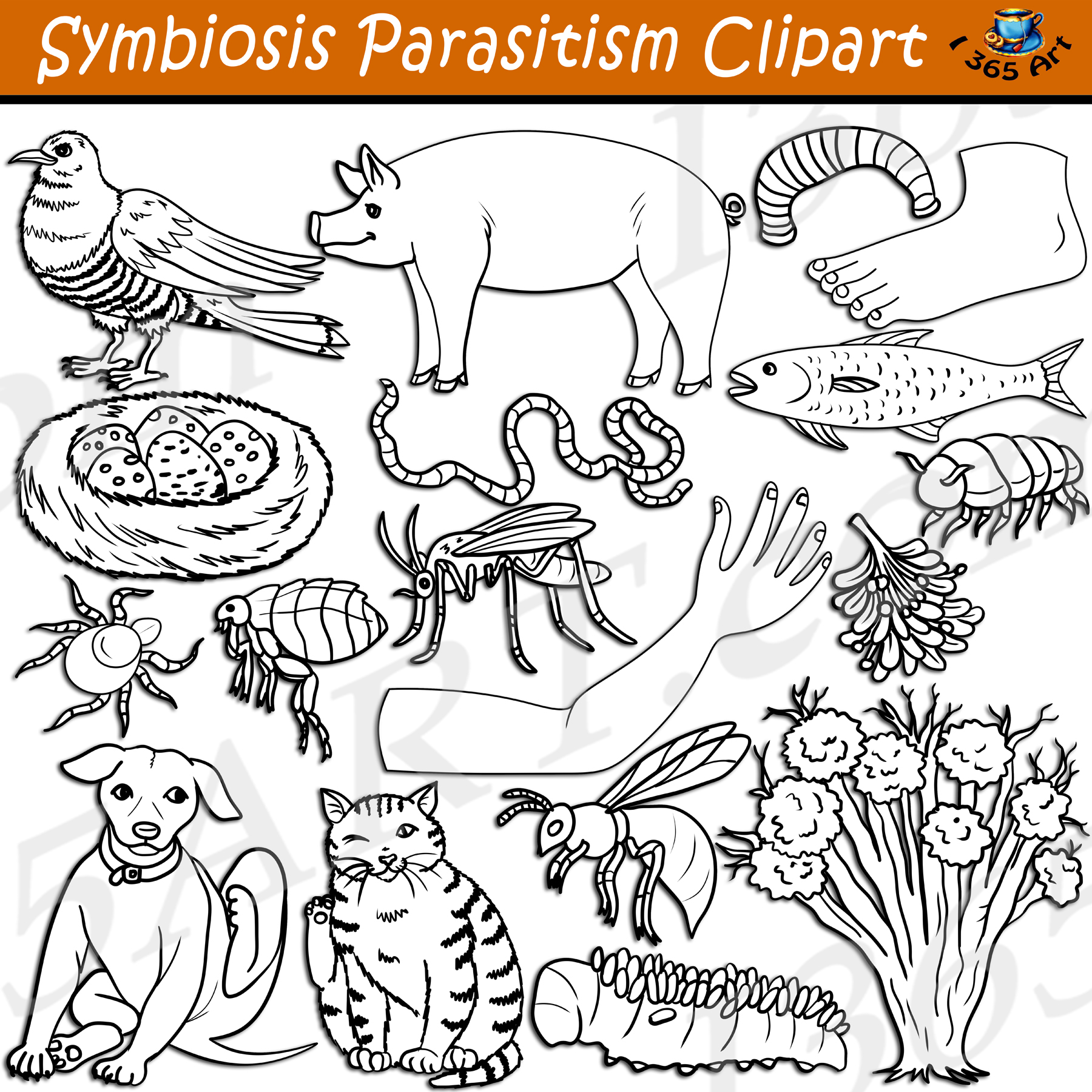 Symbiosis Parasitism Clipart