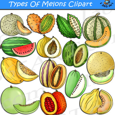 Melon Types Clipart