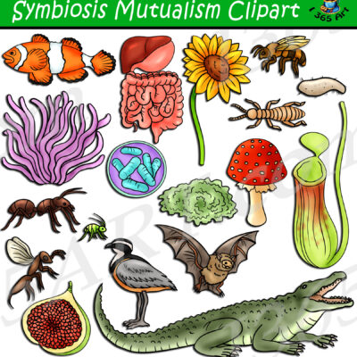 Symbiosis Mutualism Clipart