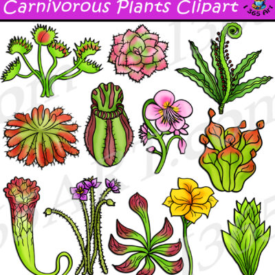 Carnivorous Plants Clipart