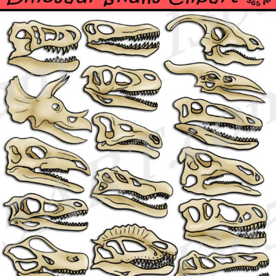 Dinosaur Skulls Clipart