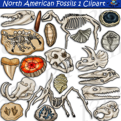 North American Fossils Clipart Set 1
