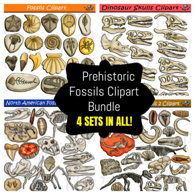 Prehistoric Fossils Clipart Bundle