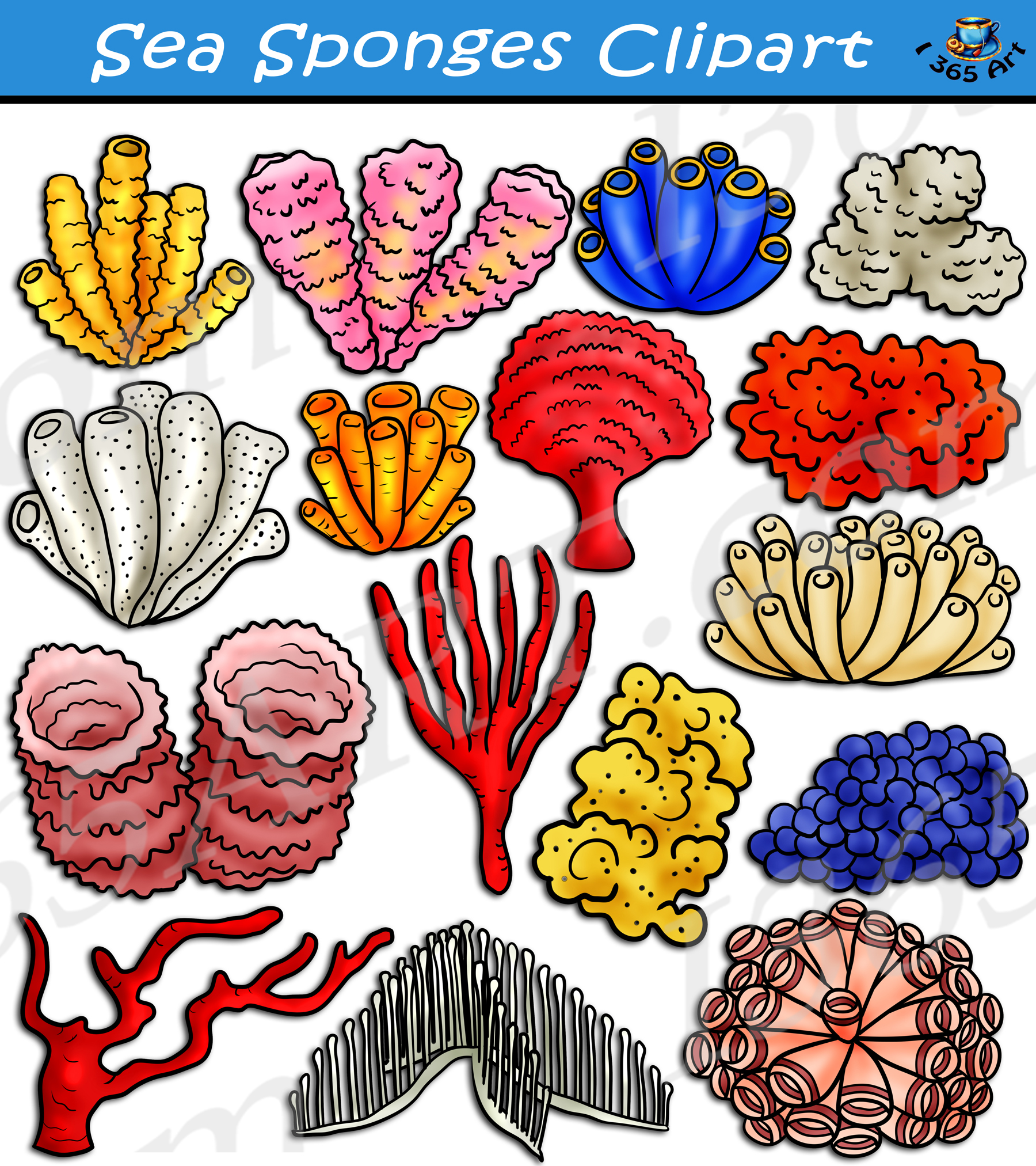 Sea Sponge Clipart