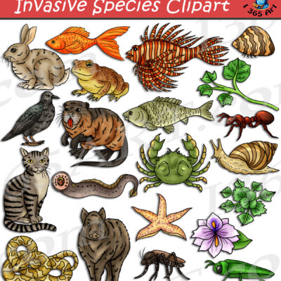 Invasive Species Clipart